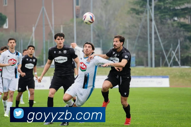 雨燕直播APP 高清赛事图